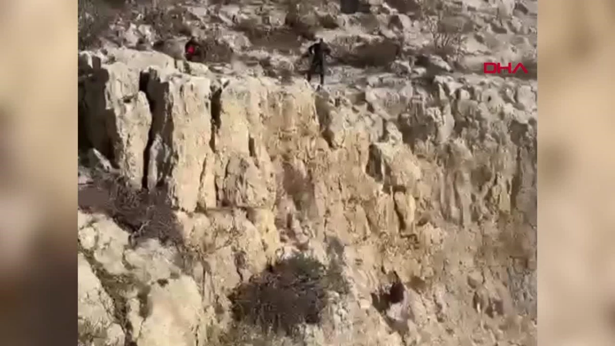 AFAD ekipleri kayalıklarda mahsur kalan 2 keçiyi kurtardı