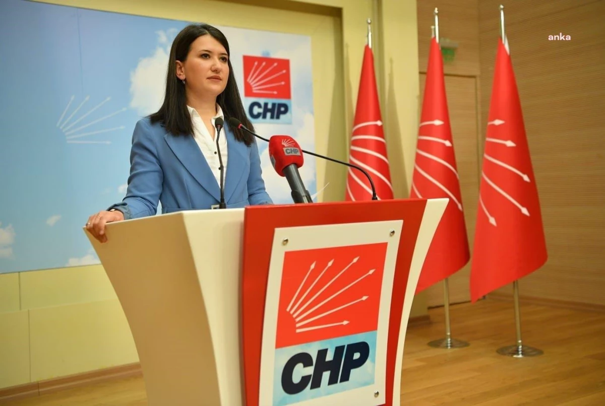 CHP Genel Başkan Yardımcısı Gökçe Gökçen, Adalet Bakanı\'na tepki gösterdi