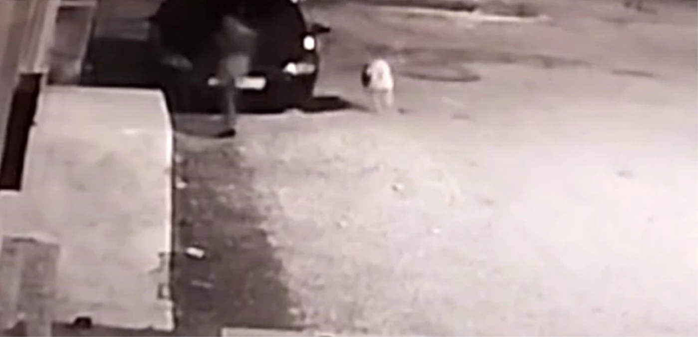 Hatay\'da sokak köpeği saldırısından son anda kurtulan genç kızın anları görüntülendi