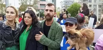 Nazilli ve Köşk'te Hayvan Katliamı Protesto Edildi