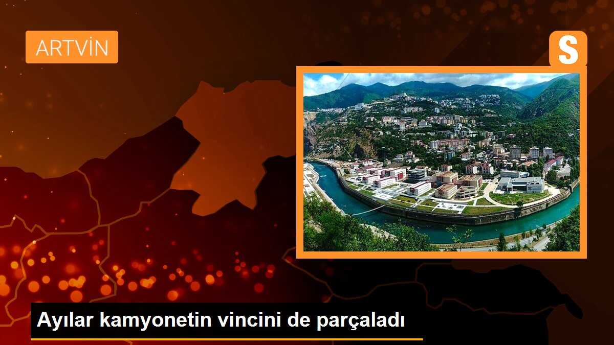 Ayılar kamyonetin vincini de parçaladı