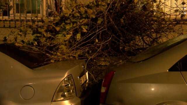 �stanbul'da ya��� ve f�rt�na hayat� olumsuz etkiledi