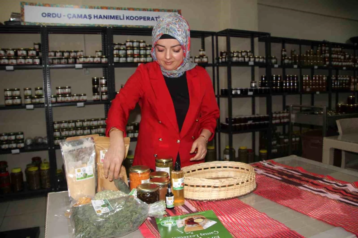 Çamaş\'ta Kadınlar Tarafından Kurulan Kooperatif ile Doğal Ürün Üretimi