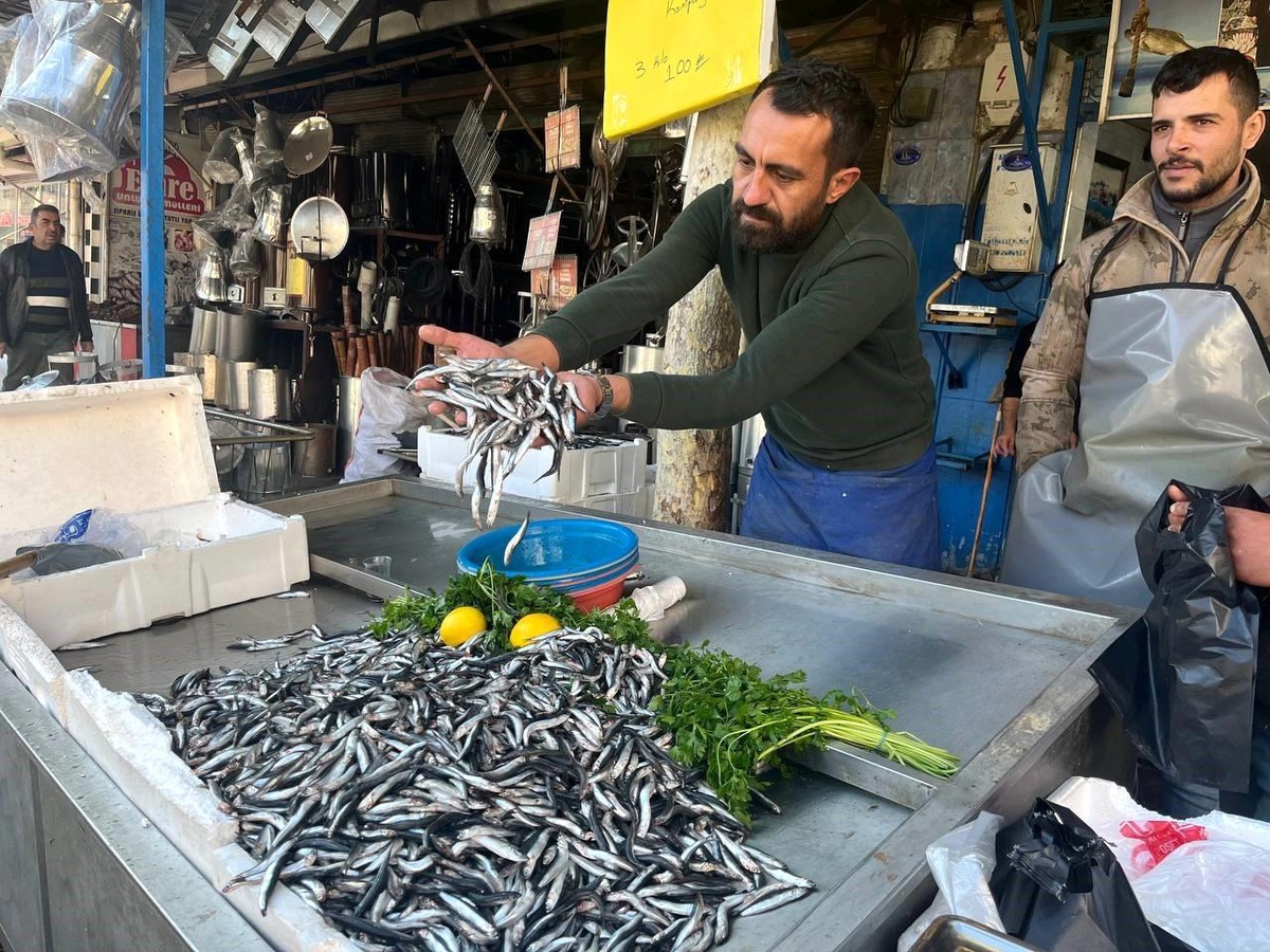 Kilis\'teki balık tezgahlarını Karadeniz hamsisi süslüyor
