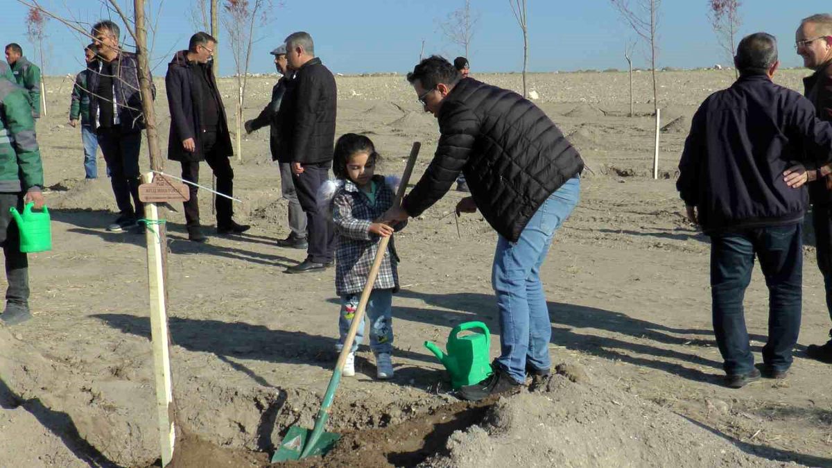 Kocasinan Belediyesi, Cumhuriyet\'in 100. Yılında Doğan 100 Çocuk İçin Fidan Dikimi Projesi Başlattı