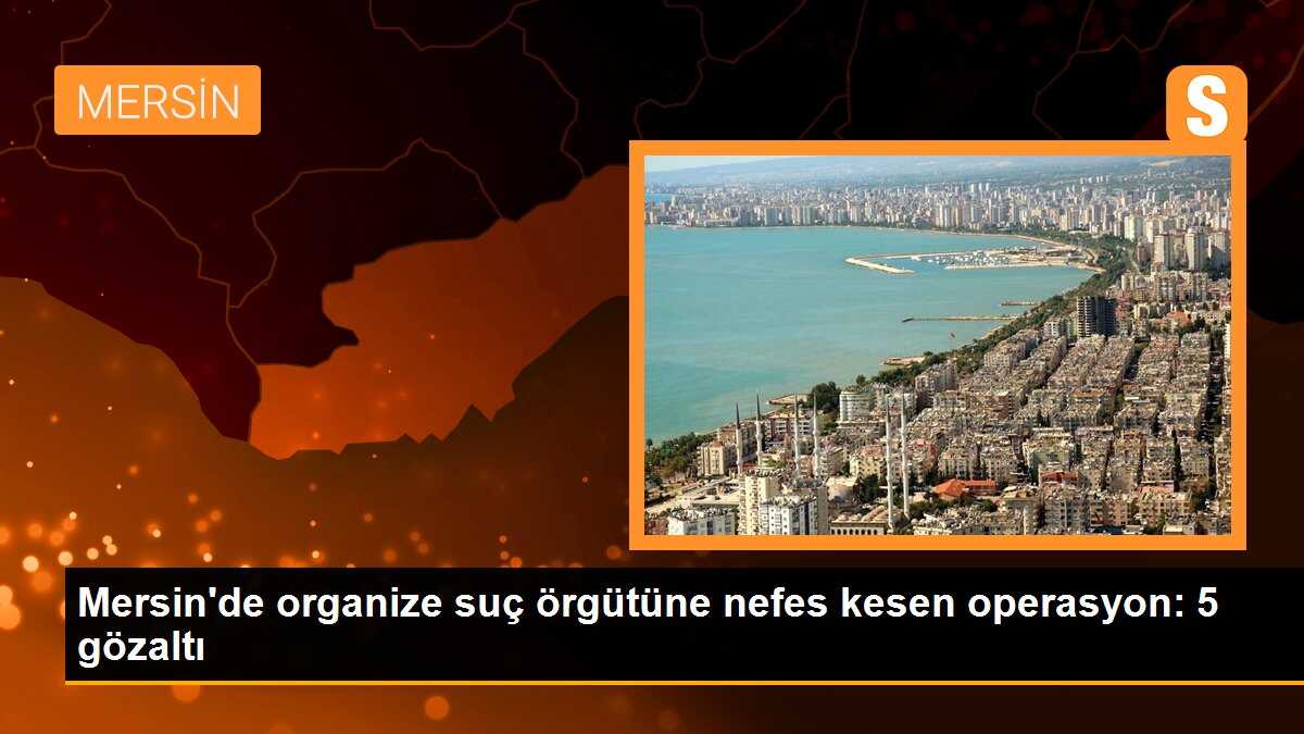 Mersin\'de organize suç örgütüne nefes kesen operasyon: 5 gözaltı