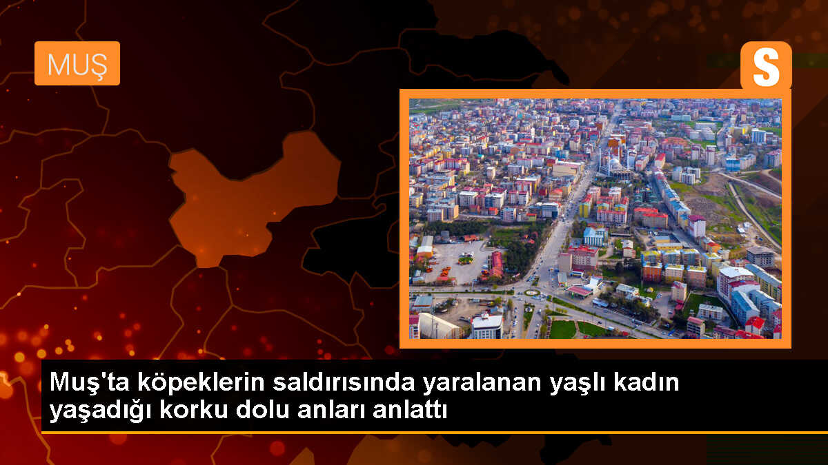 Muş\'ta köpek saldırısı: 79 yaşındaki kadın yaralandı
