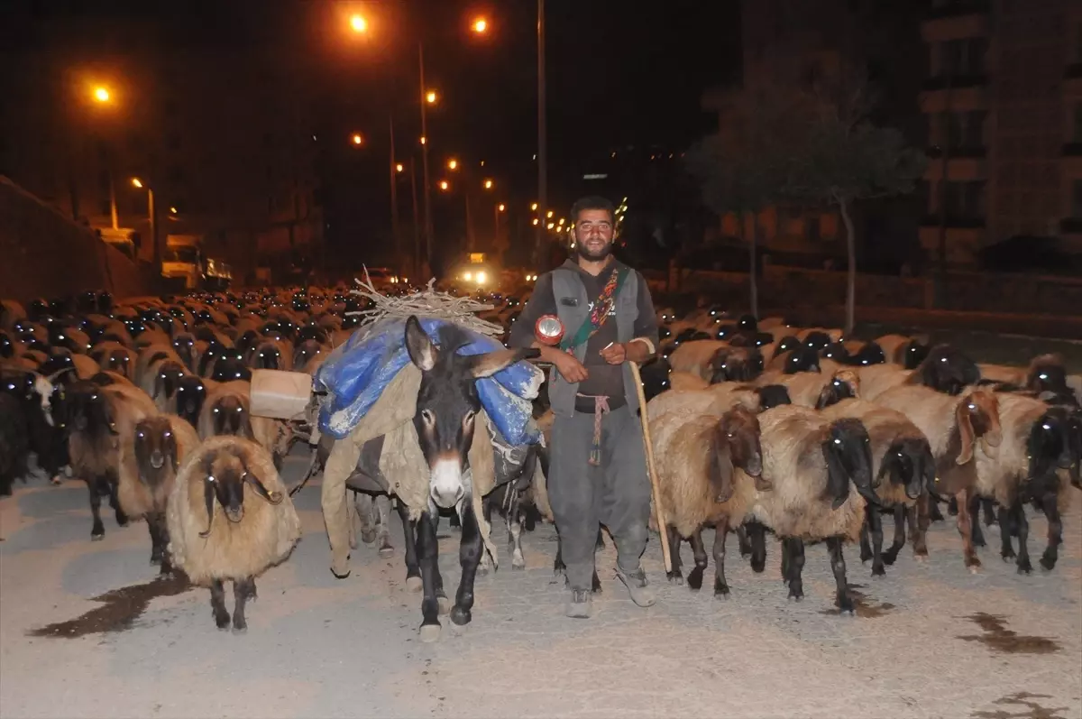 Şırnak\'ta göçerlerin dönüş yolculuğu