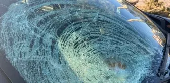 Sivas'ta otomobil çarptı: 1 yaralı