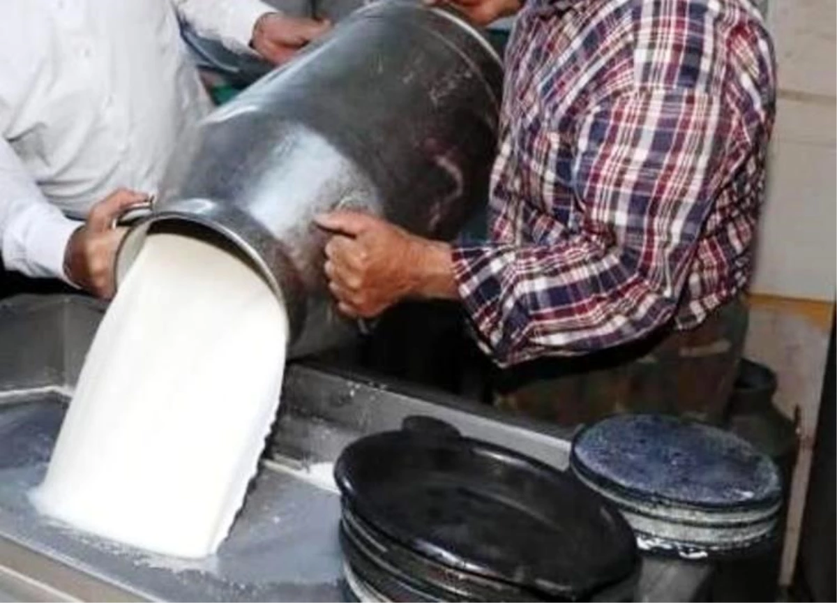 Ekim Ayında İnek Sütü Üretimi Yüzde 8,2 Arttı