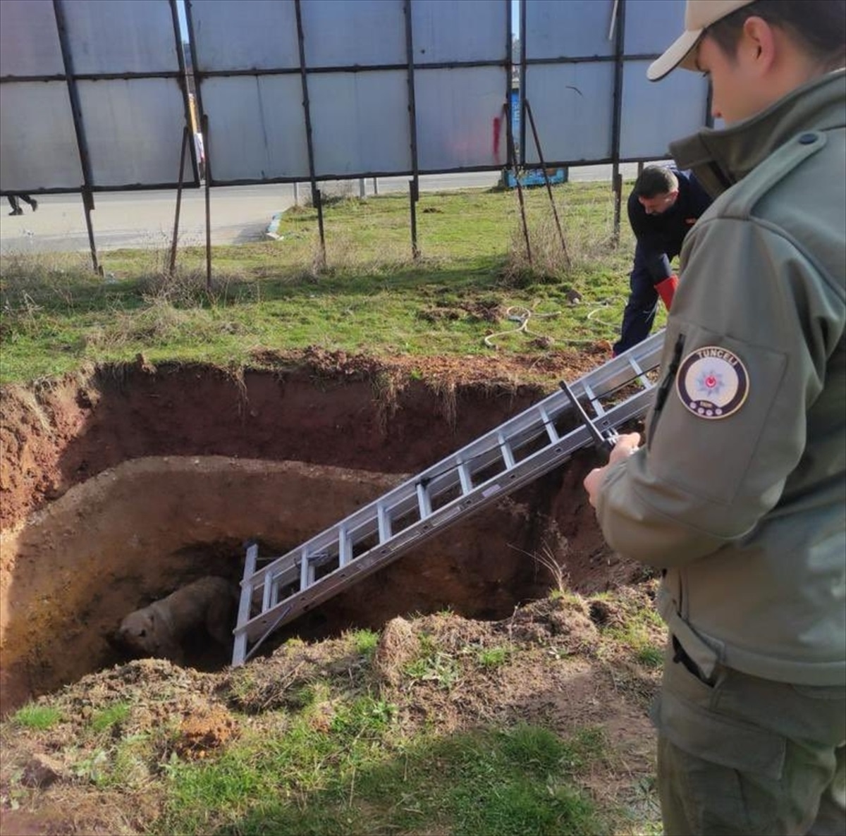 Tunceli\'de kuyuya düşen köpek kurtarıldı