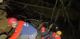 Artvin'de ağaç keserken kaya parçasının çarpması sonucu hayatını kaybetti