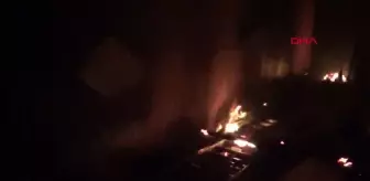 Çanakkale'de yangın: Ev ve iş yeri kullanılamaz hale geldi