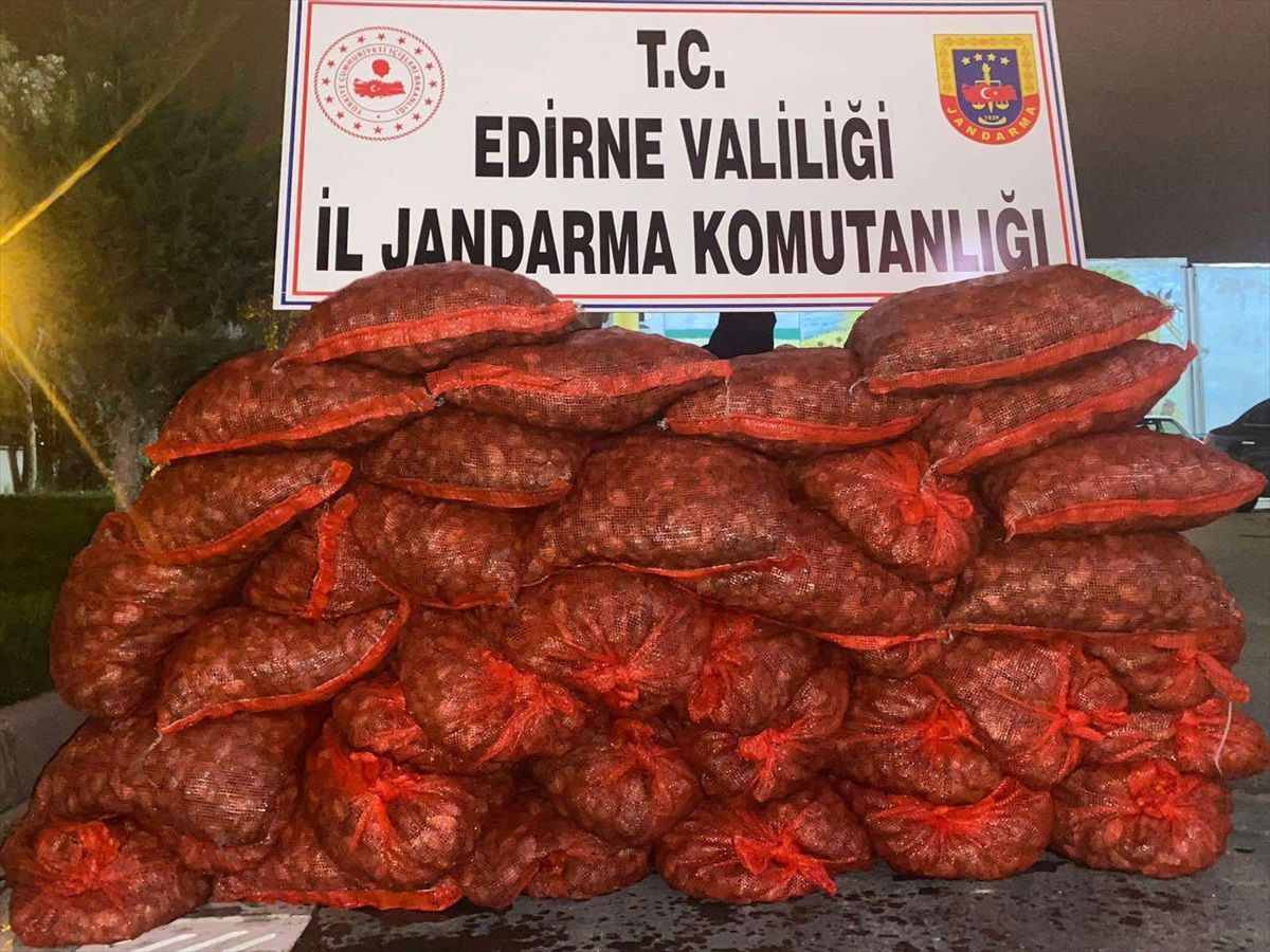 Edirne\'de 600 kilogram kum midyesine el konuldu