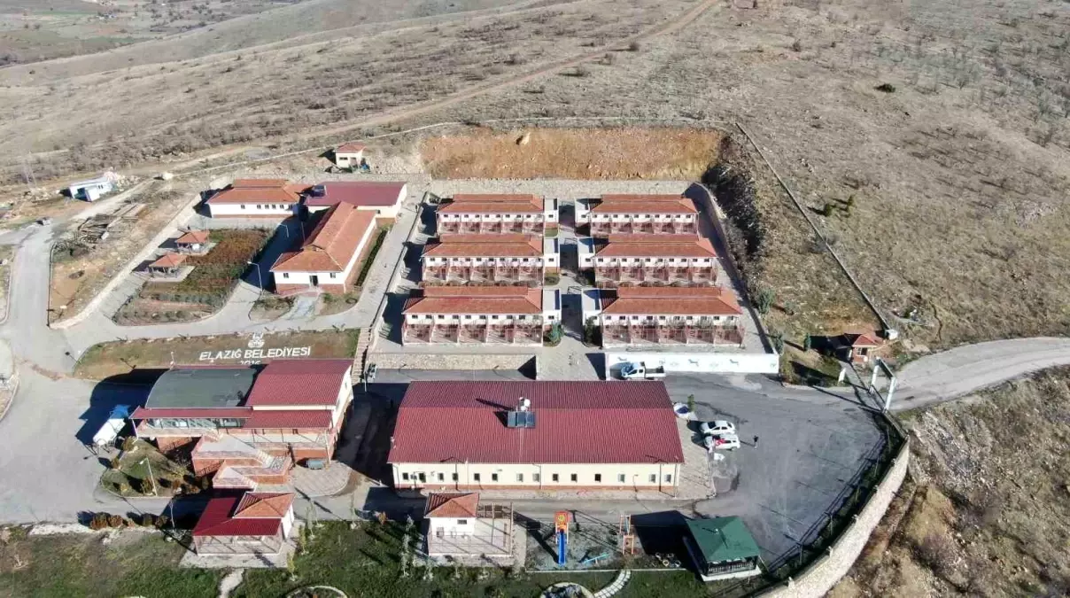 Elazığ Belediyesi'nden Hayvan Sahiplenme Hizmeti