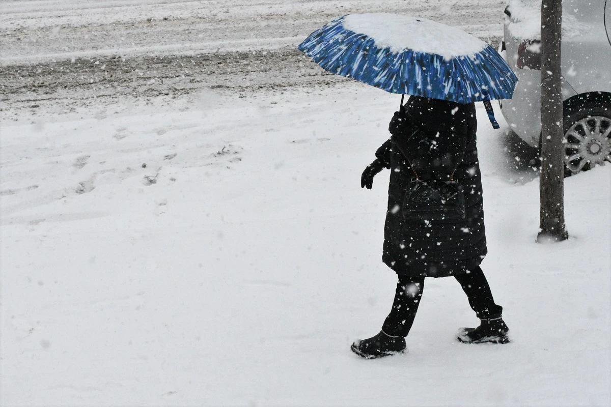 Erzurum ve Kars\'ta kar etkili oluyor