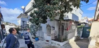 Kuşadası'nda Pitbull saldırısı: İranlı kadın yaralandı