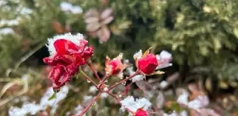 Sivas'ta Kar Yağışı Etkili Oldu