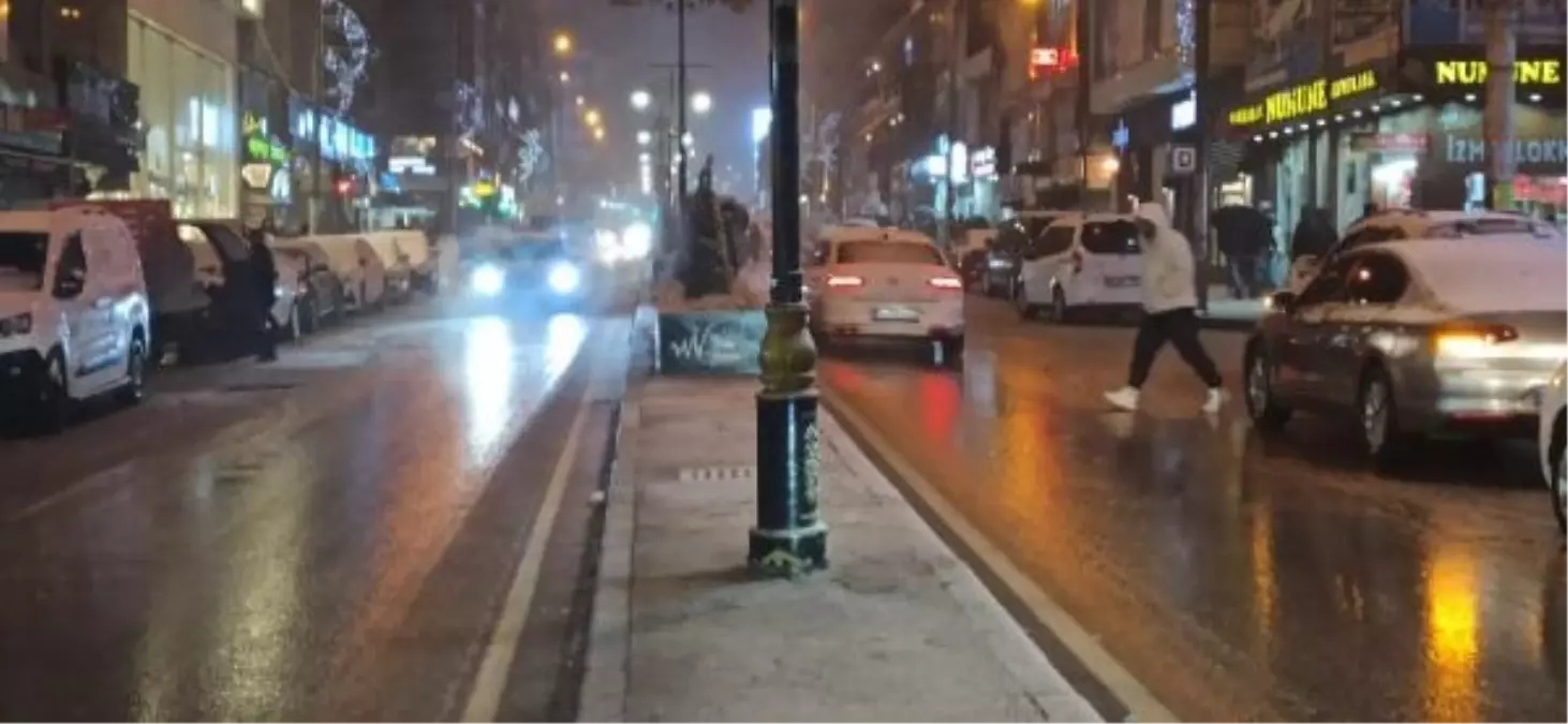 Van'da kar yağışı etkili oldu