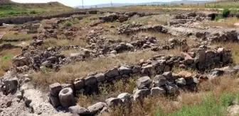 Kültepe Kazılarından Çıkan Bitki Türleri Bilim Dünyasına Katkı Sağlıyor