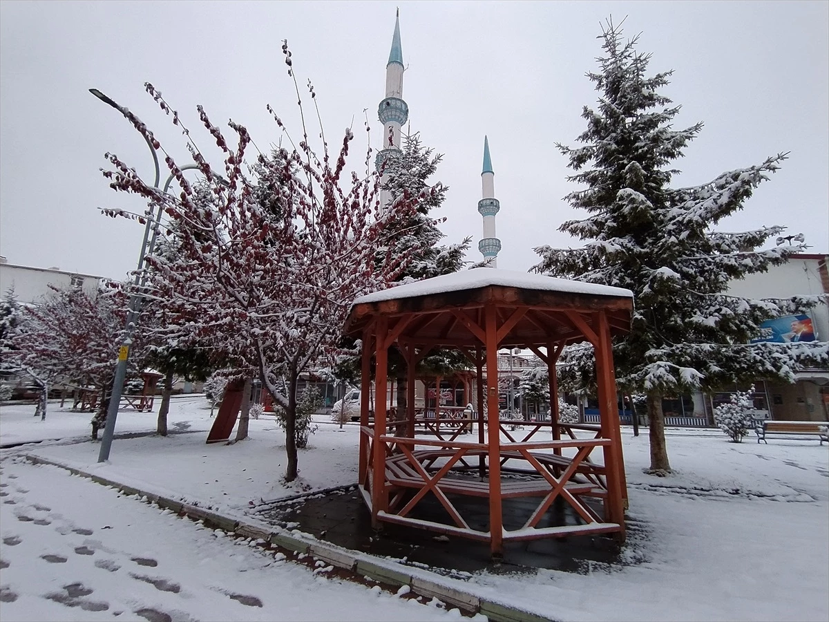 Tokat\'ın Başçiftlik ilçesinde kar yağışı