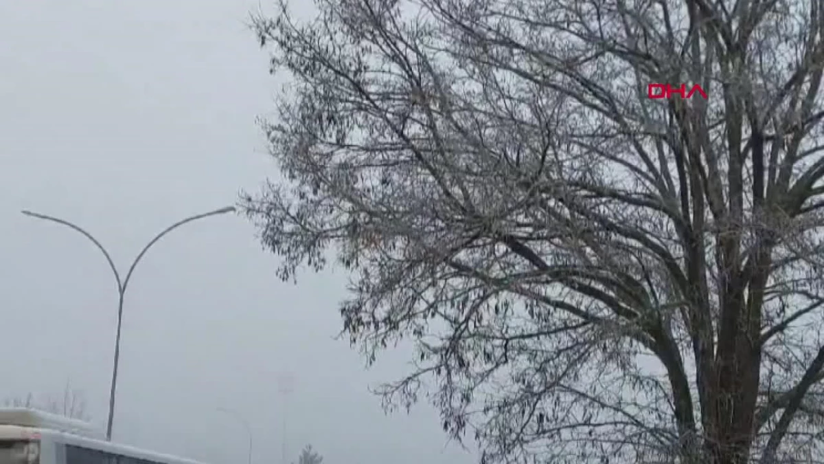 Bolu\'da Soğuk Hava Etkili Oldu: Araçlar ve Ağaçlar Dondu