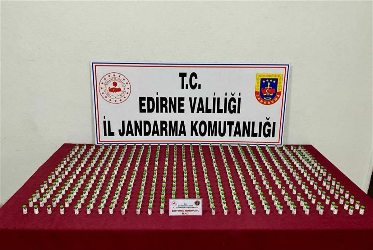 Edirne\'de 490 hormon ilacı ele geçirildi