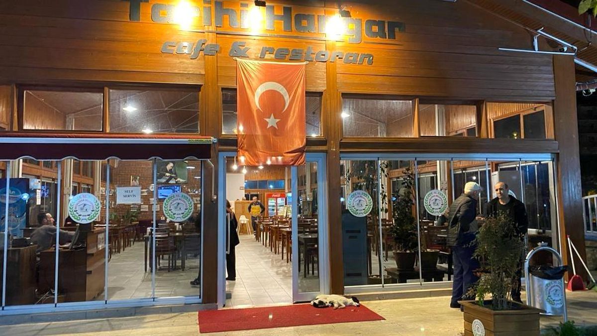 Tarihi Hangar Kafe ve Restoran\'da kedi ve köpeğin dostluğu