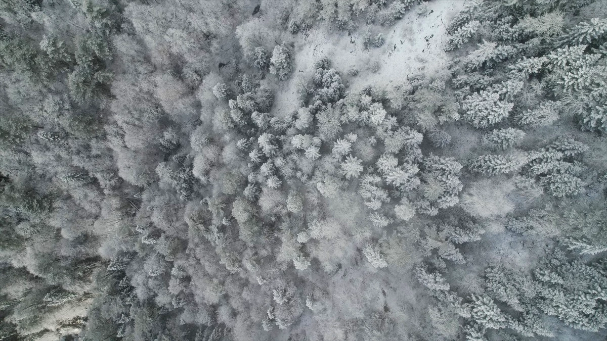 Kastamonu\'da kar ve sis etkili oldu