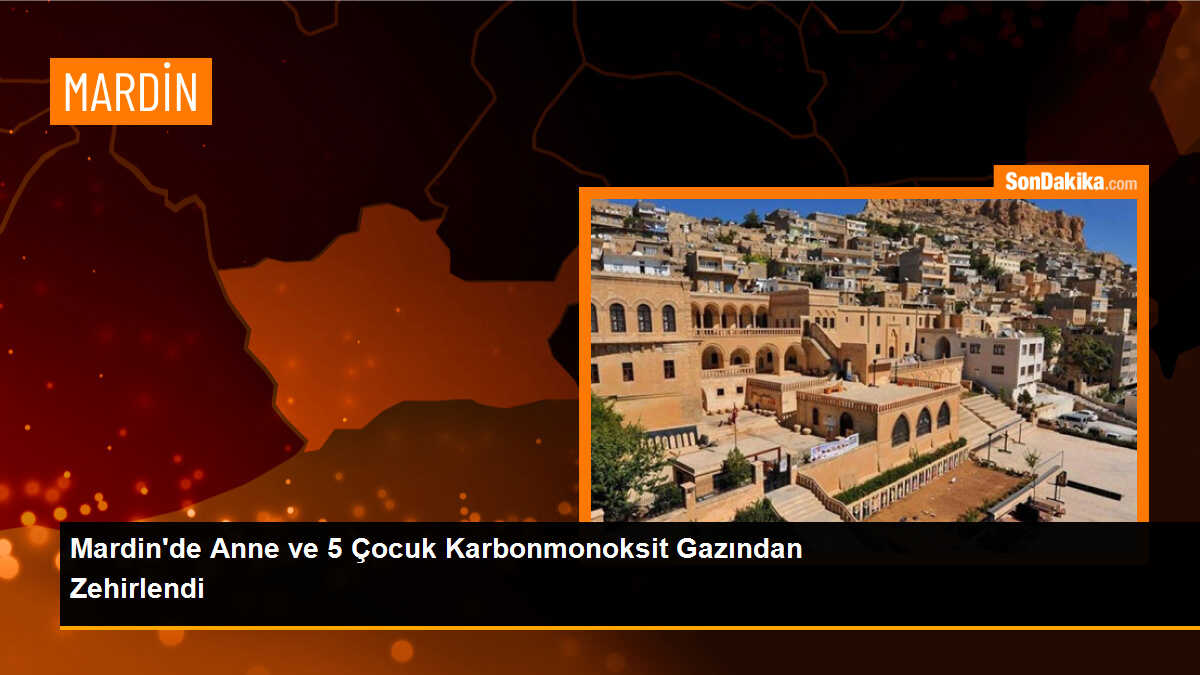 Mardin\'de anne ve 5 çocuk sobadan zehirlendi