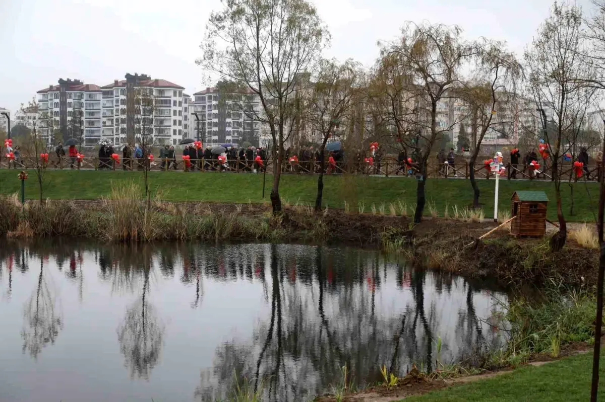 Ordu\'da 36 Dönümlük Alan Tabiat Parkı Haline Dönüştürüldü