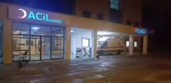 Adıyaman'da otomobil çarpması sonucu bir kişi hayatını kaybetti