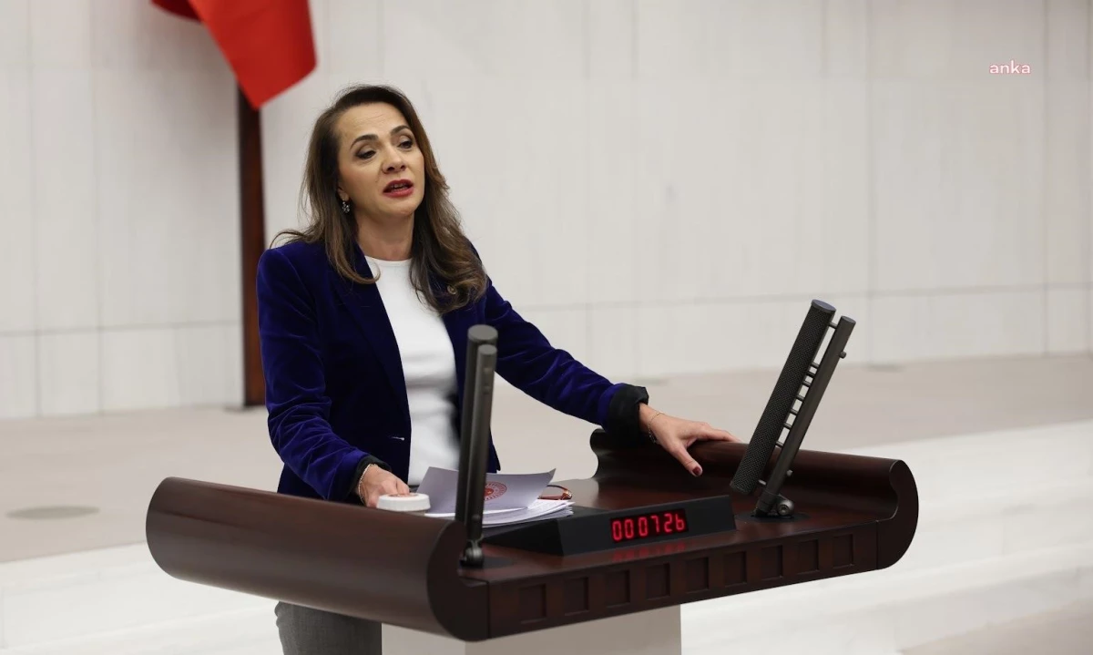 CHP Milletvekili: İktidar Emeklisine 5 Bin TL Ödeyemeyecekse Kapatıp Gitsinler