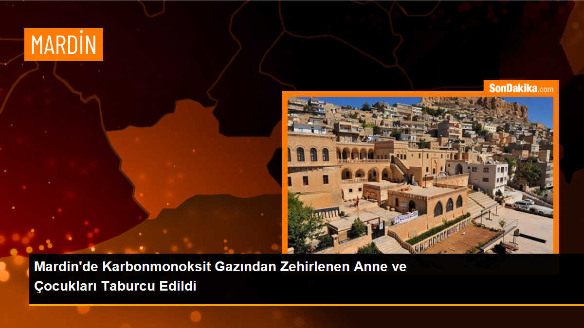 Mardin\'de Karbonmonoksit Gazından Zehirlenen Anne ve Çocukları Taburcu Edildi