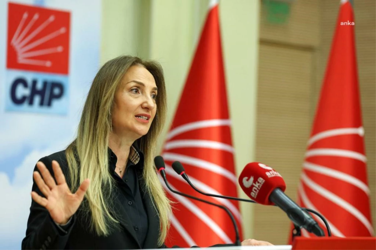 CHP Genel Başkan Yardımcısı Aylin Nazlıaka, Derya Yanık\'ın kendisi hakkında suç duyurusunda bulunduğunu açıkladı