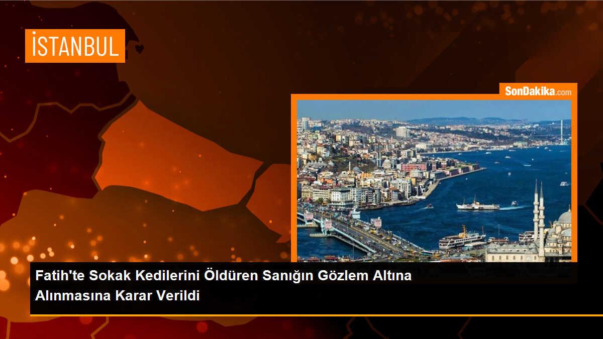 Fatih\'te Sokak Kedilerini Öldüren Sanığa Gözlem Kararı