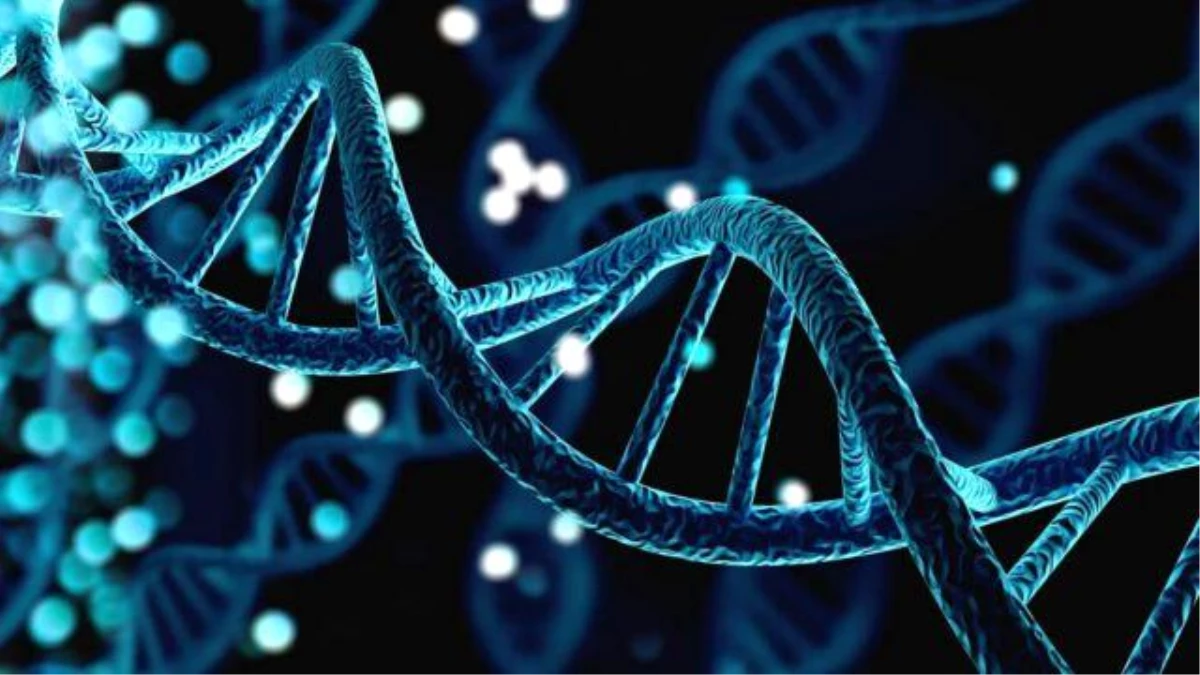 Bilim Adamları Yapay DNA Üretmenin Peşinde