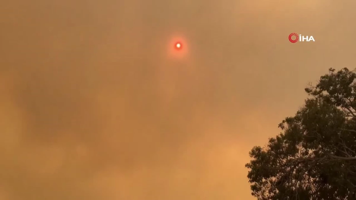 Güney Afrika\'da orman yangını: 5 yaralı