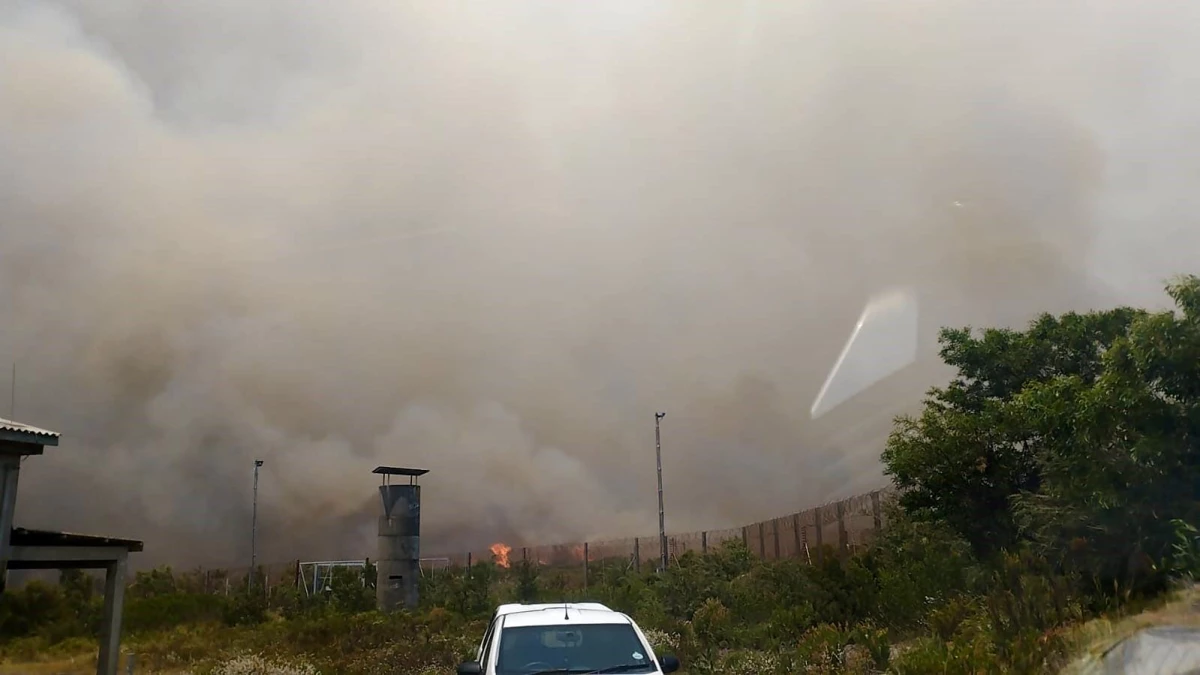 Güney Afrika\'da orman yangını: 5 itfaiyeci yaralandı