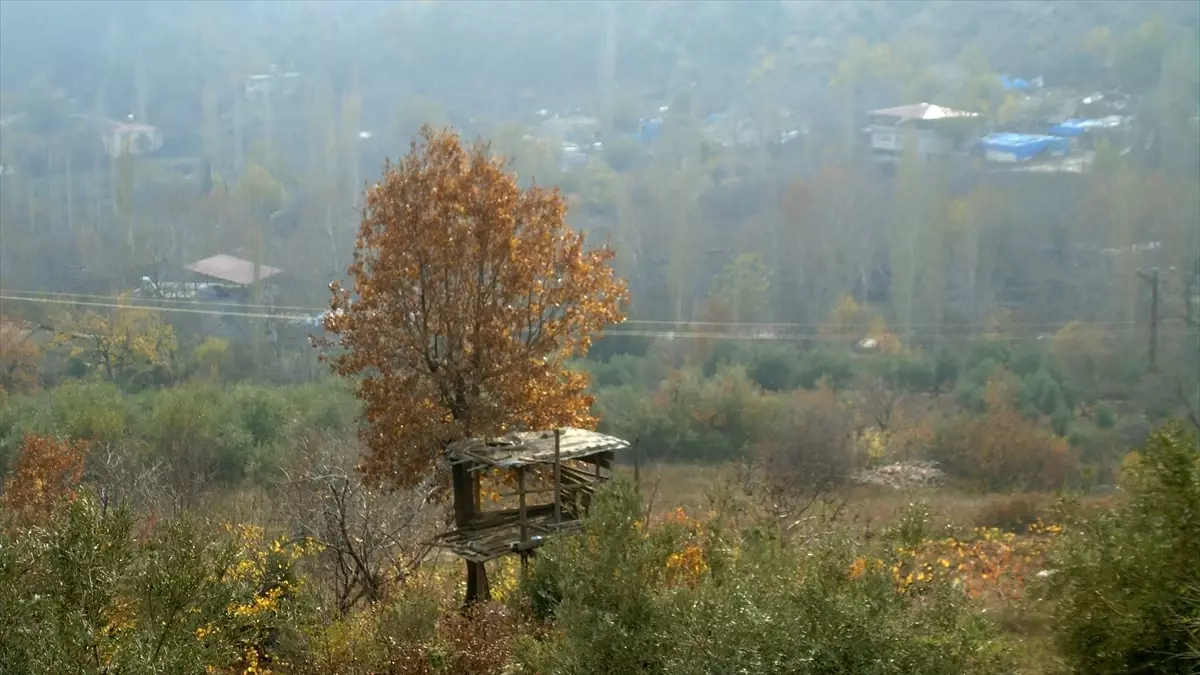 İslahiye\'de Sonbaharın Güzelliği