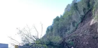 Artvin'de heyelan sonucu kara yolunda ulaşım kapandı