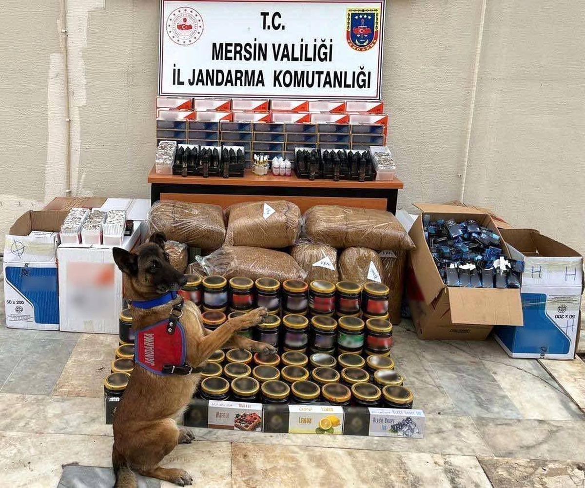Mersin\'de kaçak sigara operasyonu: 1 gözaltı, binlerce makaron ele geçirildi