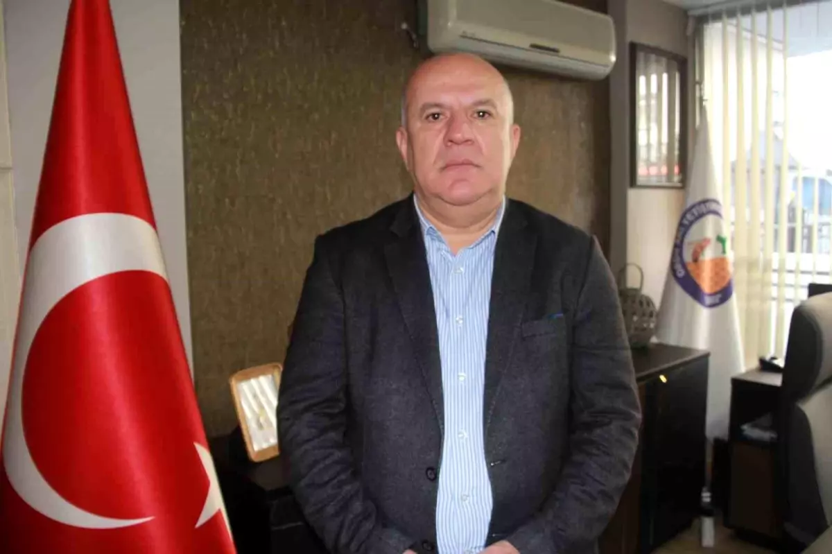 Ordu\'da Arıcılar Kışlık Bakım Çalışmalarını Sürdürüyor