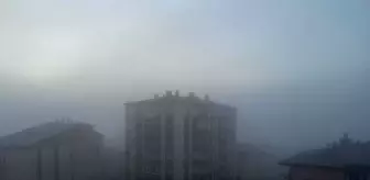 Sivas'ta Yoğun Sis Trafiği Olumsuz Etkiledi
