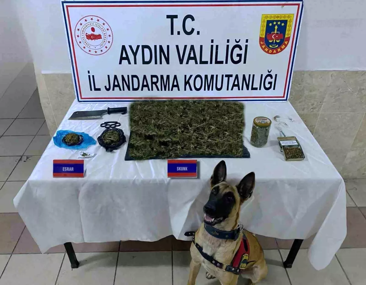 Nazilli\'de uyuşturucu operasyonu: 1430 gram skunk ve 260 gram kubar esrar ele geçirildi