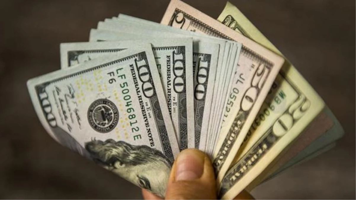 29 lirayı aşan dolar yükselmeye devam ediyor