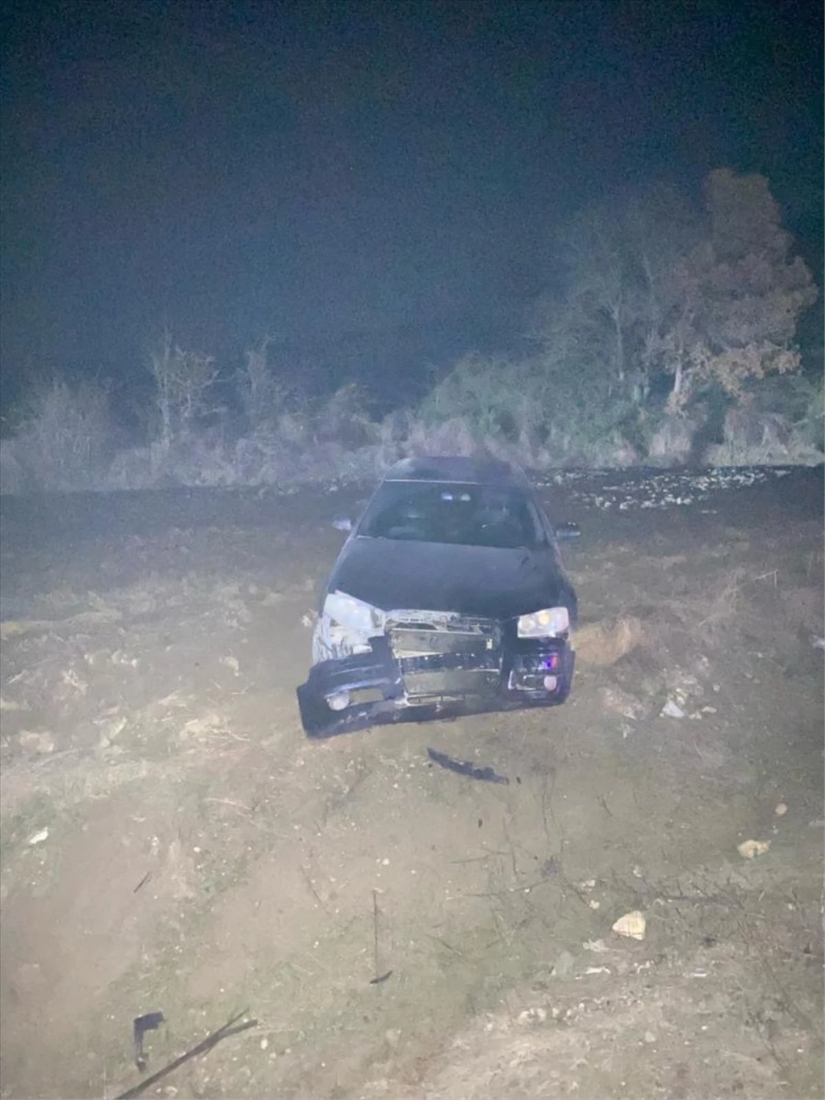 Bolu\'da domuza çarpan otomobilin sürücüsü yaralandı