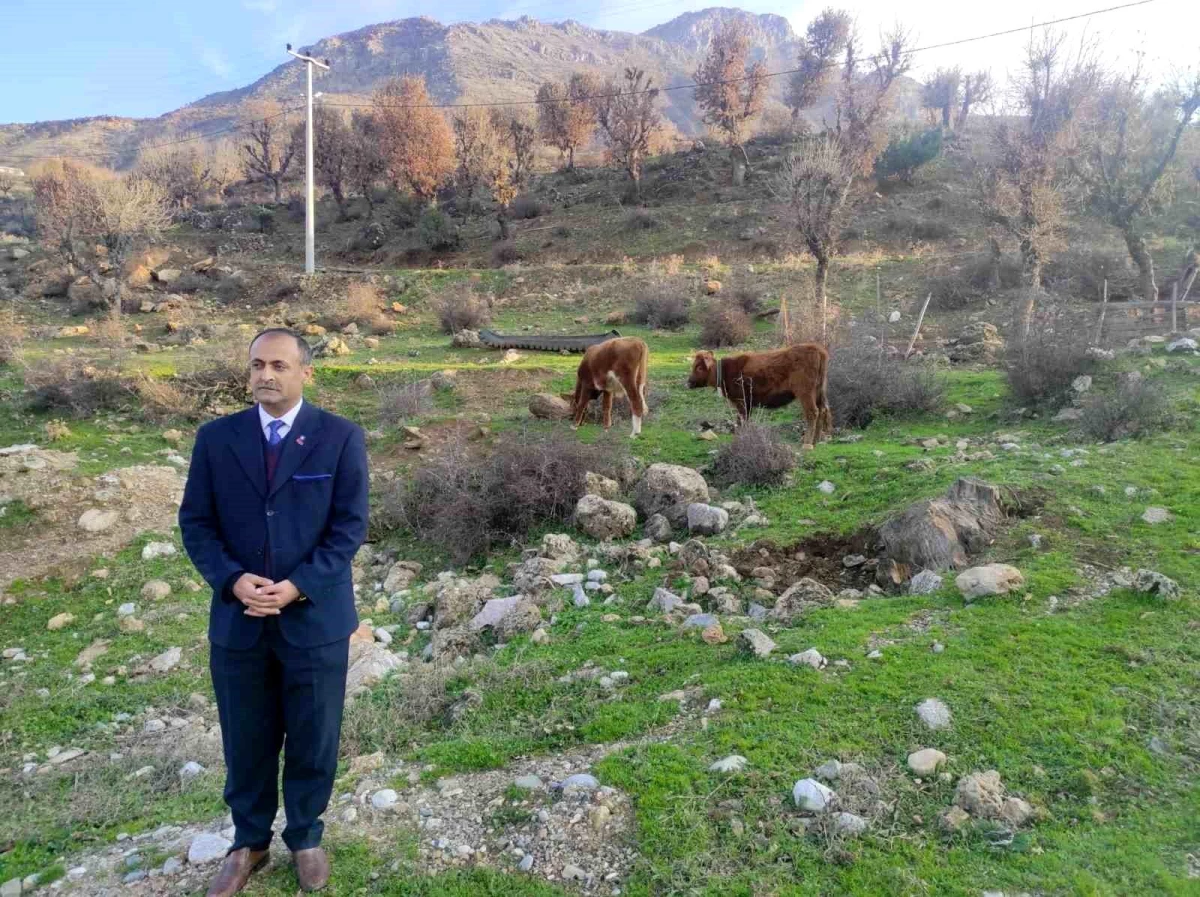 Tarım ve Orman Bakanlığı, GAK sığırlarını koruma ve ıslah projesi başlattı