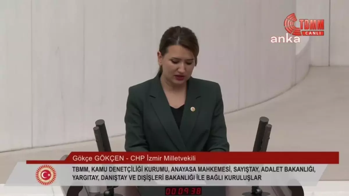 TBMM\'de Bütçe Görüşmeleri... Gökçe Gökçen: "Yargıtay 3. Ceza Dairesi\'nin Kararı TBMM\'ye Karşı Bir Had Bildirme Girişimidir.