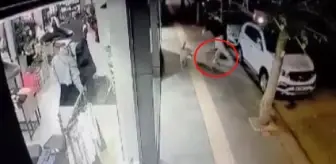 Ankara'da bir genç başıboş köpeğin saldırısına uğradı! O anlar kamerada